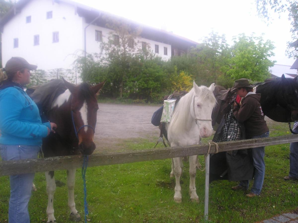 Gasthaus Zum Spaeth Englmannsberg 외부 사진